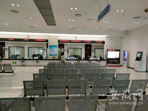 虎年開(kāi)工首日探訪(fǎng) 安徽省政務(wù)服務(wù)中心窗口人員堅(jiān)守崗位，熱情服務(wù)暖人心